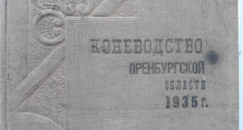 Достойные жеребцы. Татьяна Дегтярева об оренбургском коневодстве в начале ХХ века