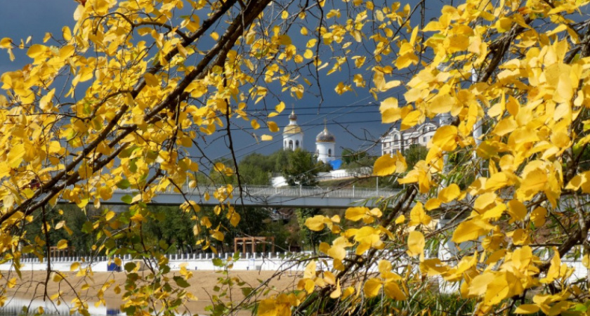 Не пропусти ни дня. Фотопрогулка Жанны Валиевой по Зауральной роще