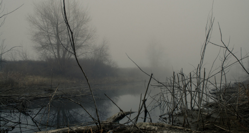 Туман и готика. Фотозарисовка оренбургских Дубков от Андрея Молоткова