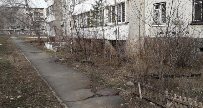Микролес под окном. Новотроицкий фотопейзаж от Ольги Шейдт