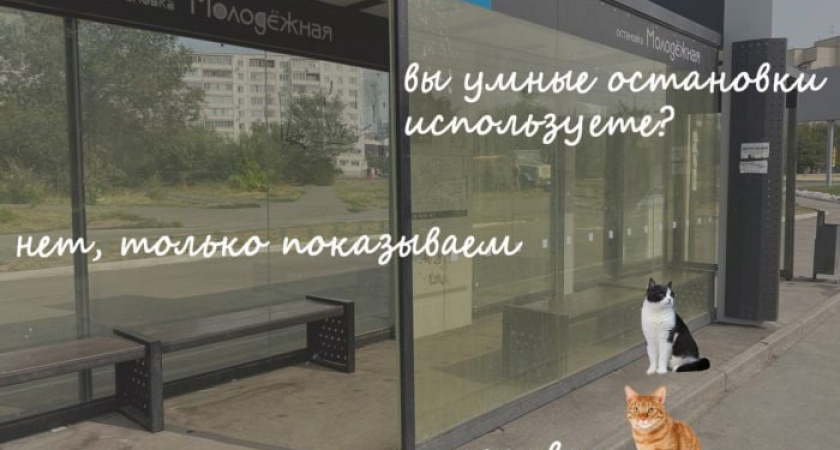 Администрация Оренбурга в третий раз объявила тендер на закупку и установку «умных остановок»
