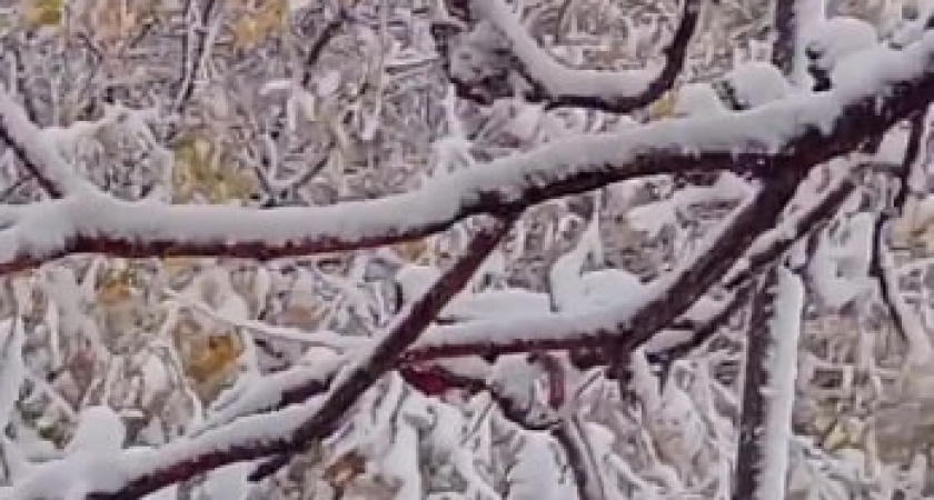 В Оренбургской области выпал первый снег