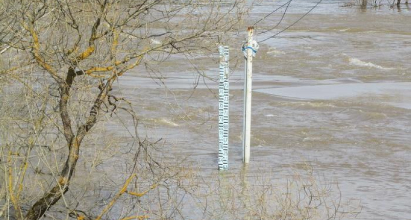 Уровень воды возле Оренбурга поднялся на 19 сантиметра