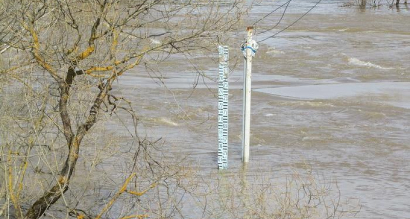 Уровень воды в Урале в Оренбурге продолжает падать
