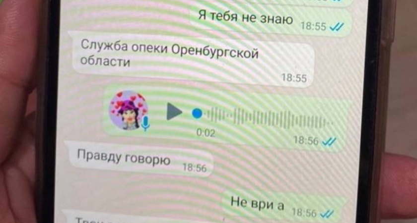 Оренбургским детям приходят фейковые сообщения от органов опеки