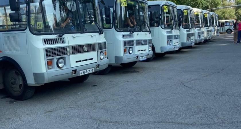 В Оренбурге водители автобусов №67 просят убрать дублирующие маршруты