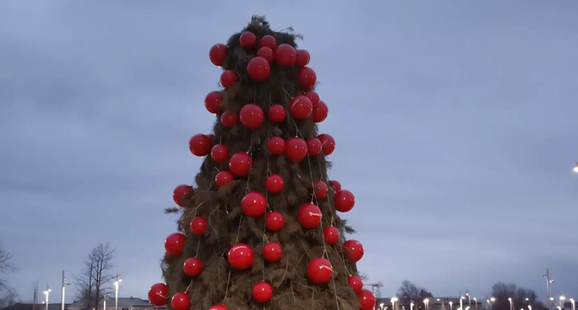 Елка-помидорка и арбузный аппарат: необычные новогодние украшения в Соль-Илецке