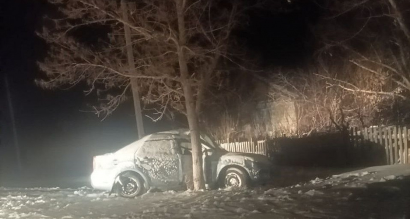 В Оренбургской области водитель насмерть разбился о дерево