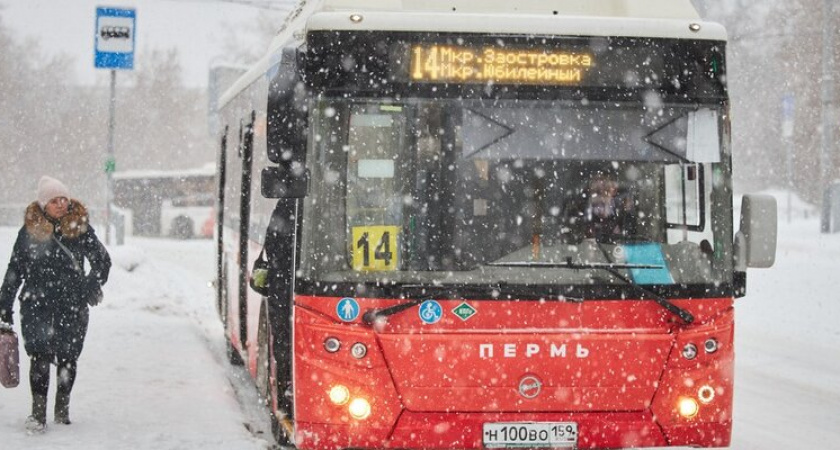 В Оренбурге на остановках транспорта появятся QR-коды с расписанием маршрутов