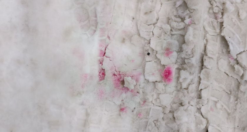 Жители Оренбурга заметили в городе опасный для собак «розовый» снег