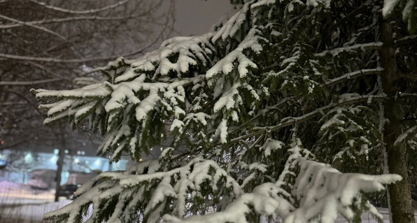 Жителей Оренбургской области предупреждают о сильном морозе: термометры опустятся до -33 градусов!