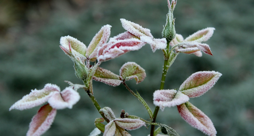 Оренбуржцы могут увидеть в мае снег