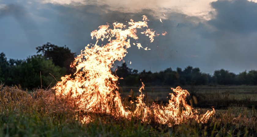 В Оренбуржье существует риск возникновения природных пожаров