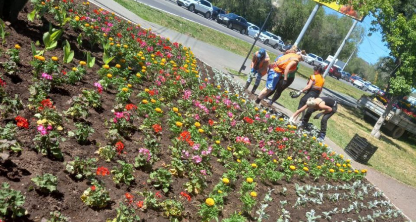 Мэру Оренбурга Салмину дали две недели на приведение города в порядок