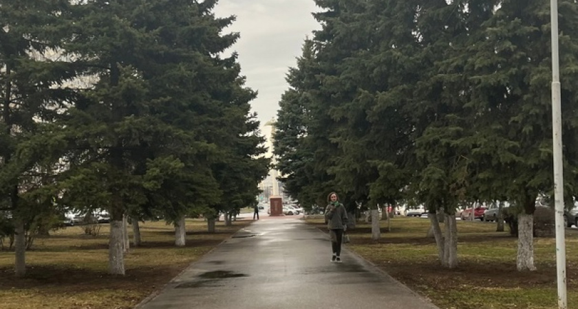 В Оренбурге ожидается снег с дождем и туман