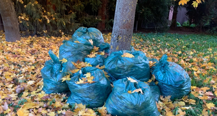 В Оренбурге крысы обжились на мусорных свалках