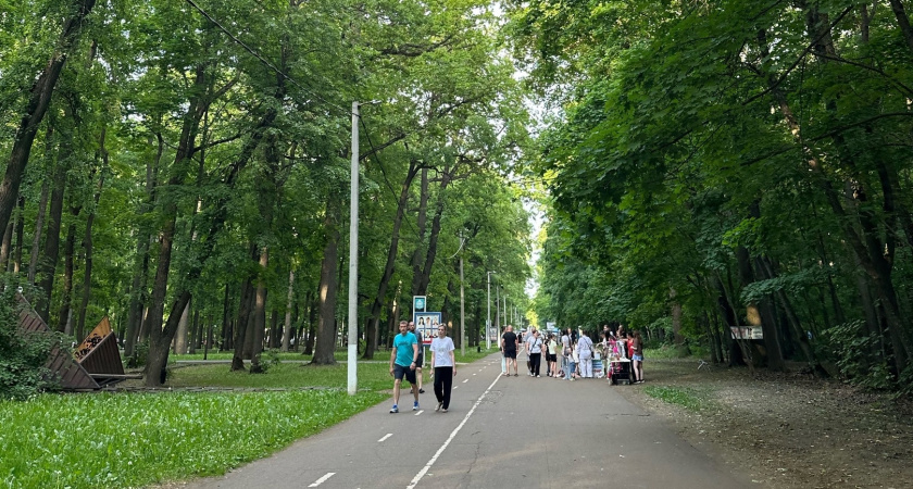 В Бузулукском бору близится к завершению проект по созданию маршрута «Сказочный борок»