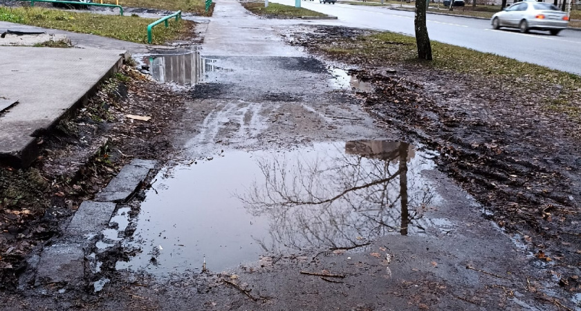 Советская улица в Оренбурге тонет под грязью и листвой