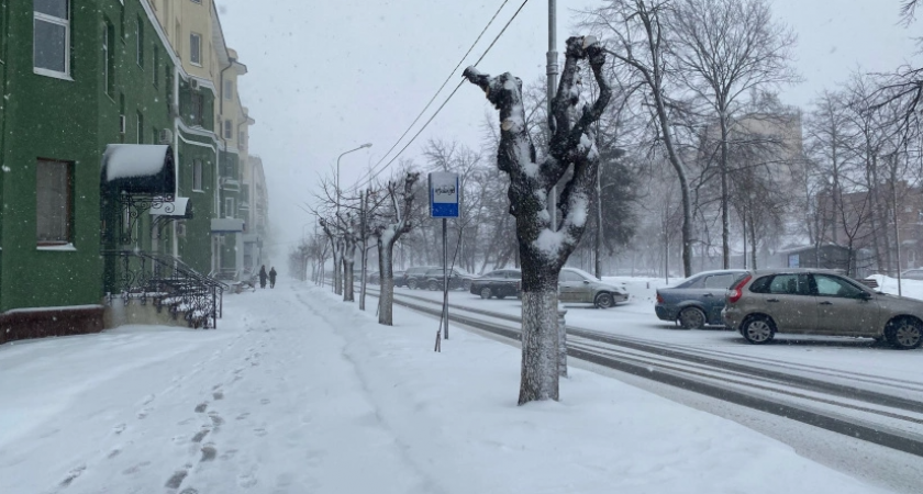 Нас укроет ледяной апокалипсис: Вильфанд предупредил россиян об аномальной погоде	