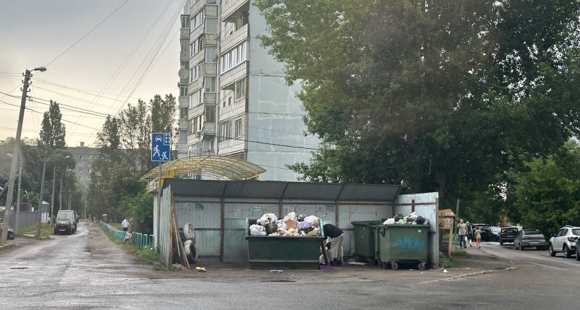 Оренбуржцы бьют тревогу из-за нашествия крыс