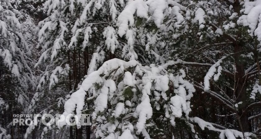 Аномальная жара грянет уже в декабре: синоптики удивили новым прогнозом на зиму 2024