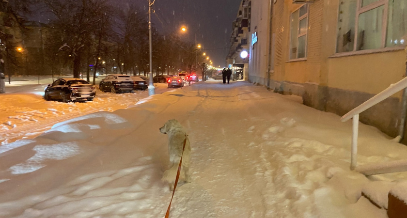 Такого на нашем веку не было: синоптики поделились прогнозом на январь — Россию накроет аномальная погода