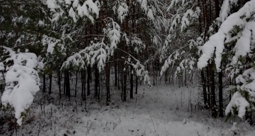 Благодаря антициклону погода в Оренбуржье станет спокойнее