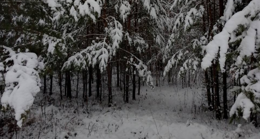 Уже завтра, 19 января, в Оренбуржье ожидаются снегопады