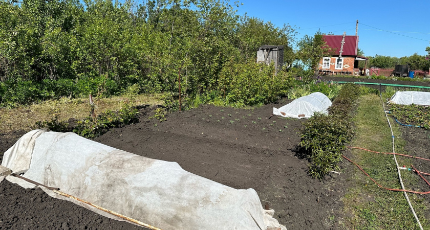 Зима отступит окончательно: Вильфанд сообщил дачникам о скором начале сезона в России