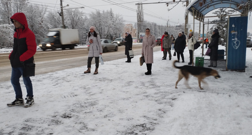 Пенсии повысят еще на 20%? Пенсионерам объявили о неожиданном правиле 