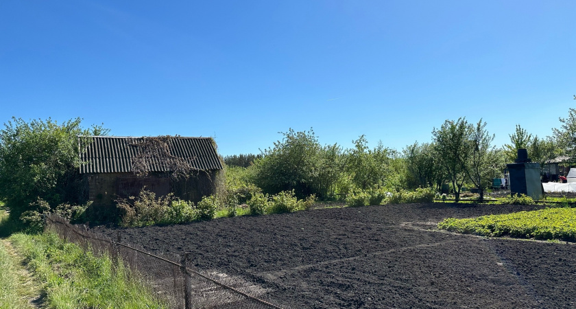 Зима отступает окончательно: Роман Вильфанд предупредил садоводов о скором старте дачного сезона в России