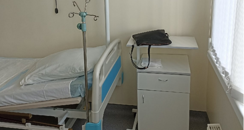 Четыре жителя Орска стали жертвами нападения бездомных собак за один день