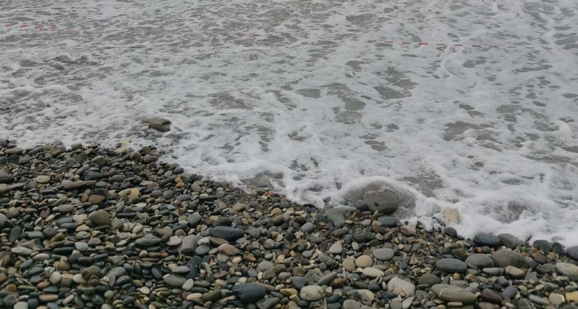 Оренбургские студенты участвуют в борьбе с последствиями разлива мазута в Черном море