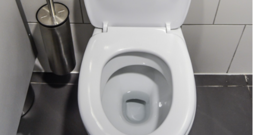 «Всего 5 ложек»: горничные поделились секретным рецептом смеси, которую можно насыпать в унитаз для чистоты