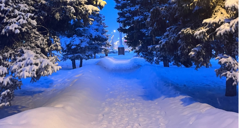 Несколько тысяч оренбуржцев присоединились к Всероссийской массовой лыжной гонке