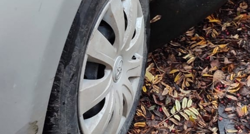 Бухгалтер сельсовета в Оренбуржье потратила бюджетные средства на автомобильные диски