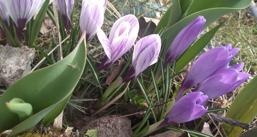 Аномальная жара наступит в марте: лето наступит на два месяца раньше, уже с 20 числа