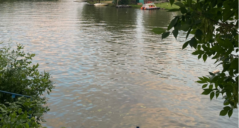 В Оренбургской области стартовала акция по спасению рыбы в водоемах