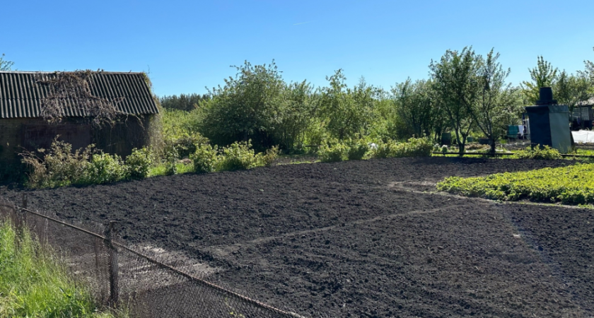 Миска крупы вместо 10 кг навоза: бросаем даже на выпавший снег - весной земля мягче пуха