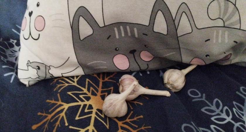 Так делали наши предки: положите чеснок под подушку и уже утром увидите эффект