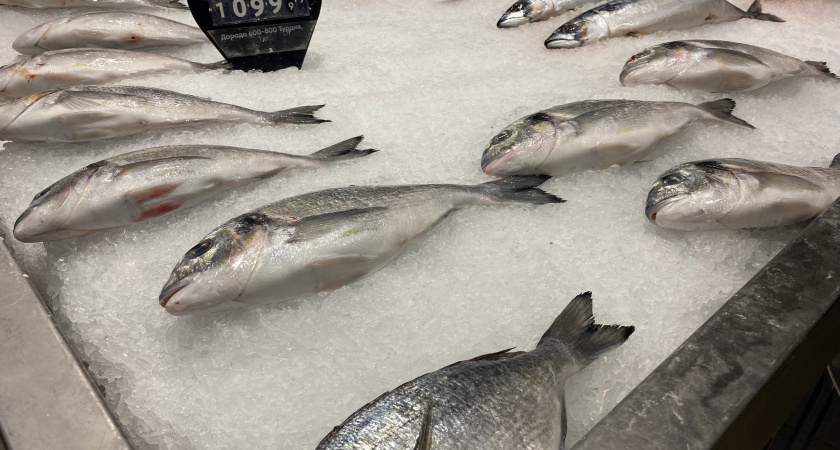 В 2024 году Роспотребнадзор проверил 590 объектов рыбной продукции в Оренбуржье