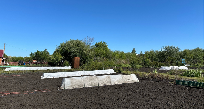 Всего 1 горсть на грядки под снегом в начале марта: почва станет плодородной и без удобрений 