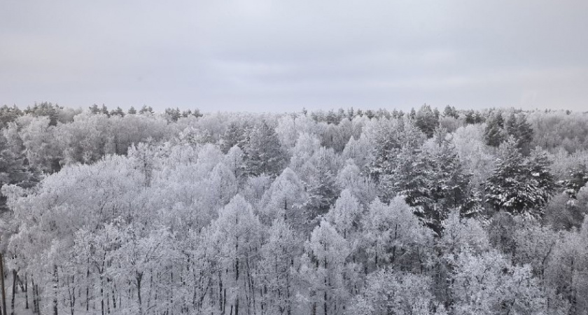 «В марте придёт то, чего не было с 1885 года». Синоптики рассказали, к чему готовиться