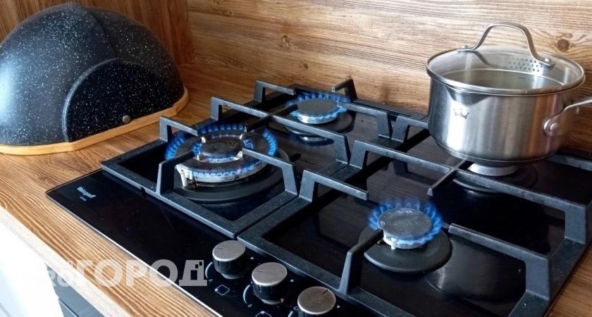 Указ принят: штраф 25000 рублей для всех владельцев квартир с газовой плитой