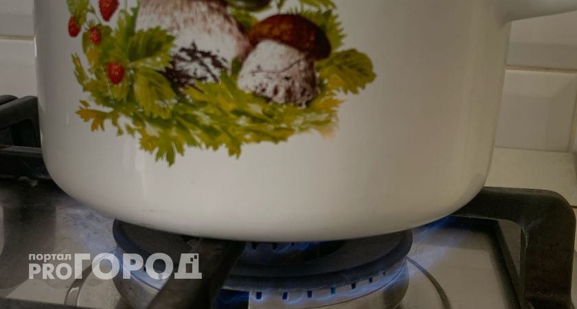 Указ принят: с 10 марта штраф для для всех владельцев газовой плиты от 10 лет и старше