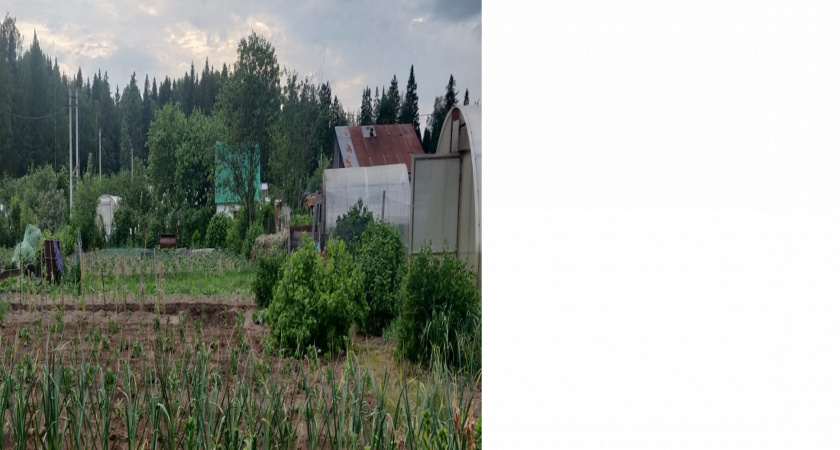 Дачники схватились за сердце: их соседи на законных основаниях могут отобрать участок с 10 марта