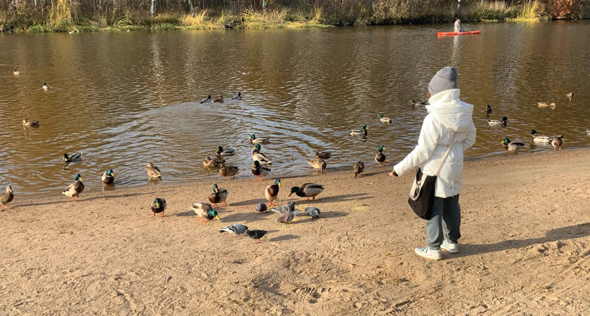 Ранняя весна, холодный май и аномально жаркое лето. Синоптики дали точный прогноз погоды до осени 2025 года