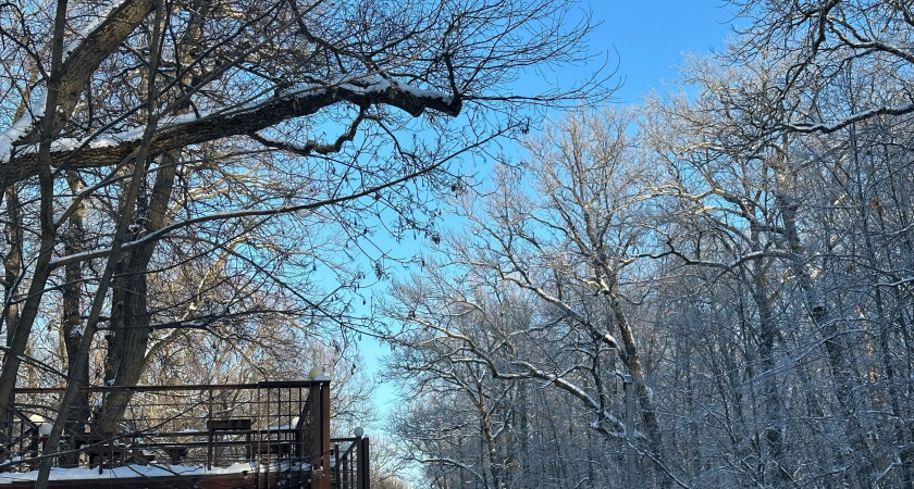 В Оренбургской области неделя началась с переменчивых погодных условий