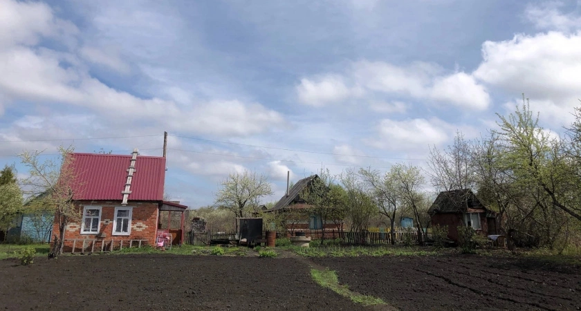 Фото к статье: Штрафы будут лететь пачками: с 1 апреля ужесточаются законы для всех дачников. Пощады не ждите