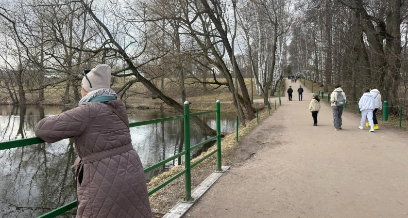 Фото к статье: Самозанятых в Оренбурге стало больше